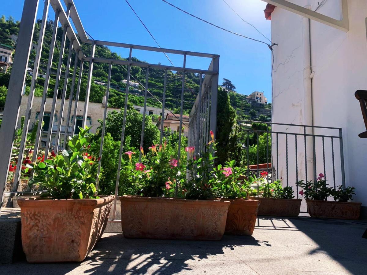 L'Albero Della Vita Minori Kültér fotó